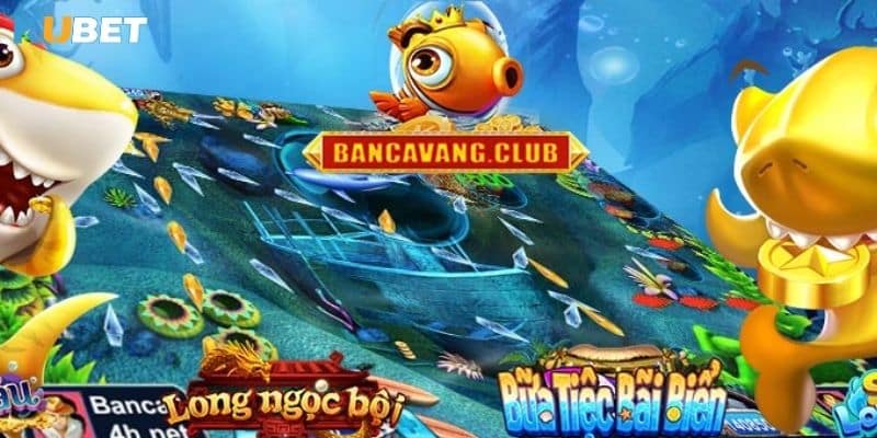 Tiềm năng và cơ hội tại cá vàng club tại Kubet