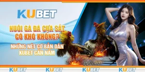 nuôi gà đá cựa sắt