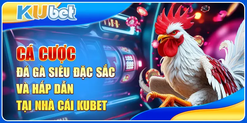 Cá cược đá gà siêu đặc sắc và hấp dẫn tại nhà cái KUBET