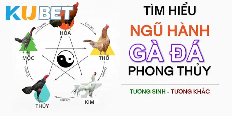 Khái niệm về xem ngày đá gà